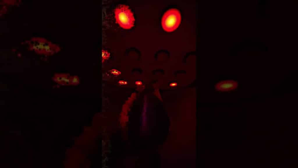 CREATEUR DE CONTENU : GAMESIDE (Réel 6)