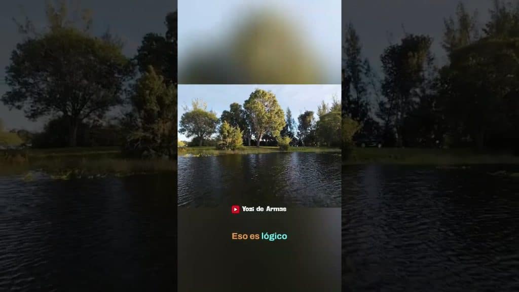 Drone Cinematográfico: Captura tus Viajes como un Profesional #shorts